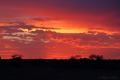 Einer von vielen schönen Sonnenuntergängen im Outback