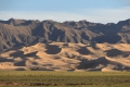 Gobi - Die Khongoryn Els sind die zweitgrößten Dünen der Monglei